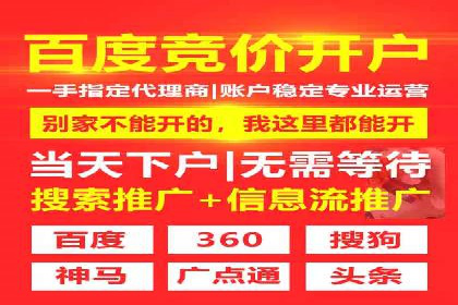 竞价端口开户后的广告投放策略案例